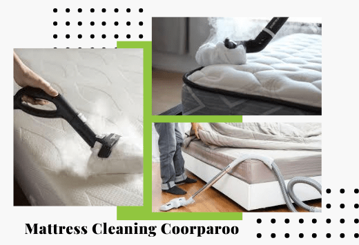 Mattress Cleaning Coorparoo