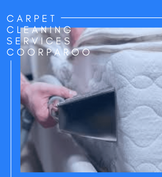 Mattress Cleaning Service Coorparoo