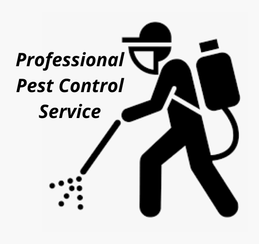 Professional Pest Control Coorparoo