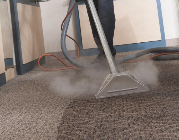 steam carpet cleaning coorparoo